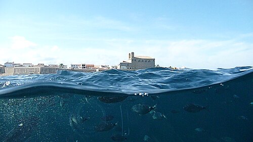 Snorkel en la Reserva Marina de Tabarca
